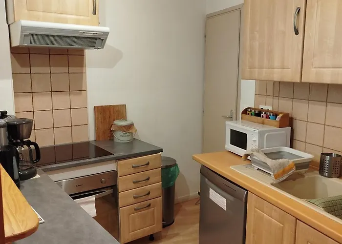 Cosy De 50m2, 2 Avec Terrasse, Plein Centre D'ax-les-thermes Διαμέρισμα Ax-les-Thermes