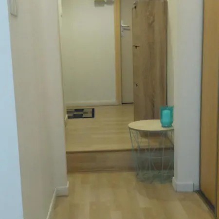 Cosy De 50m2, 2 Avec Terrasse, Plein Centre D'ax-les-thermes Lägenhet