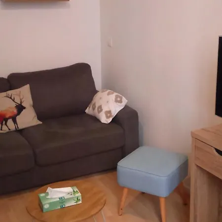 Apartament Cosy De 50m2, 2 Avec Terrasse, Plein Centre D'ax-les-thermes *