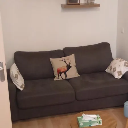 Cosy De 50m2, 2 Avec Terrasse, Plein Centre D'ax-les-thermes *