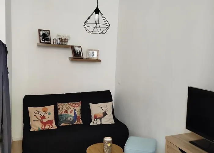 Cosy De 50m2, 2 Avec Terrasse, Plein Centre D'ax-les-thermes *